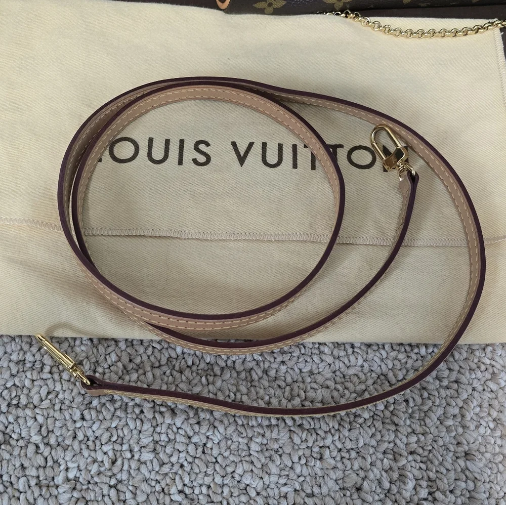 Authentic Louis Vuitton Eva Monogram Clutch - Picture 10 of 10